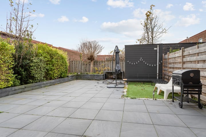 Foto 21 van Speerdistel 7