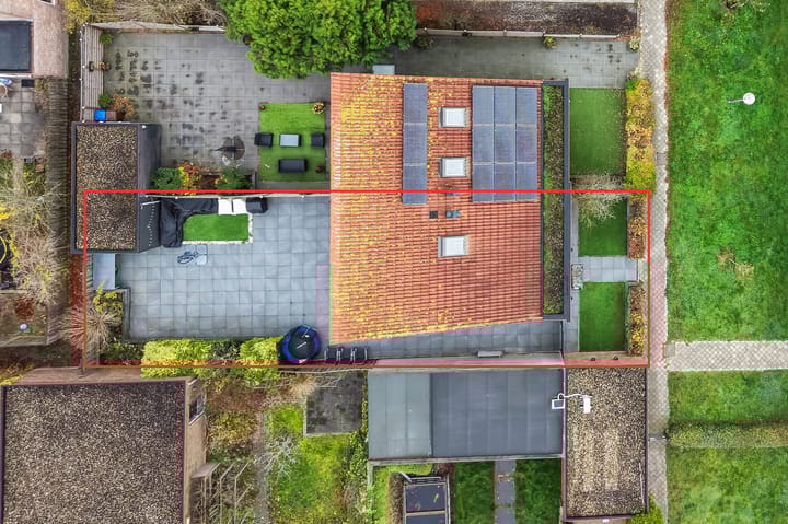 Foto 23 van Speerdistel 7