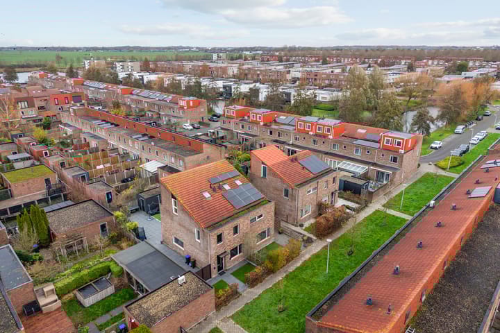 Foto 25 van Speerdistel 7