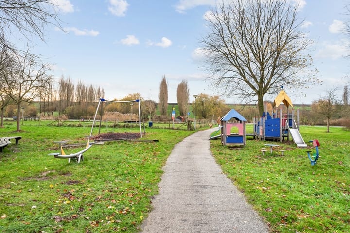 Foto 26 van Speerdistel 7