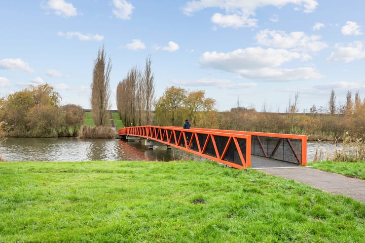 Foto 27 van Speerdistel 7