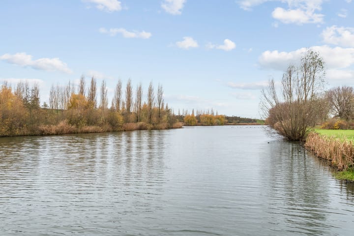 Foto 28 van Speerdistel 7