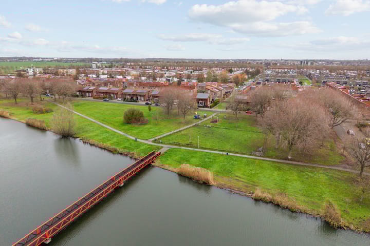 Foto 29 van Speerdistel 7