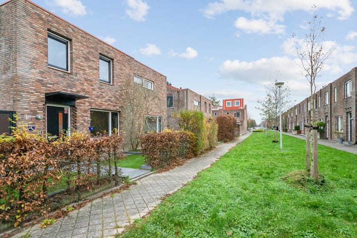 Foto 24 van Speerdistel 7