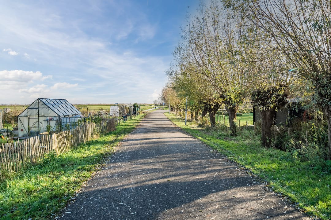 Foto 46 van Speenkruidlaan 2