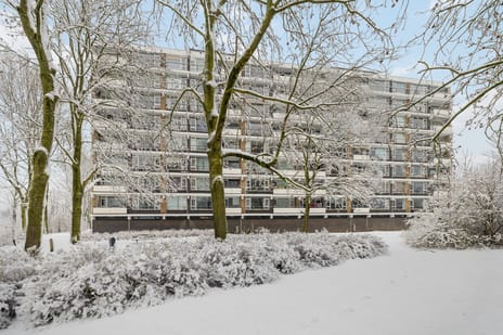 Tobias Asserlaan thumbnail