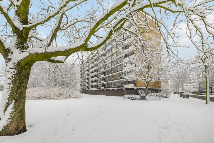 Photo 5 of Tobias Asserlaan 236