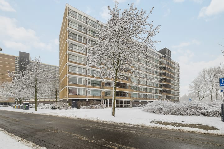 Photo 25 of Tobias Asserlaan 236