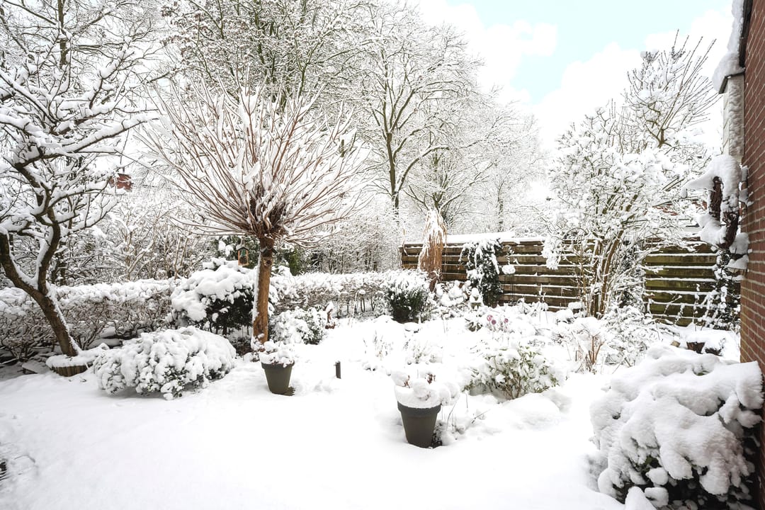 Foto 32 van Meester Koolenweg 19