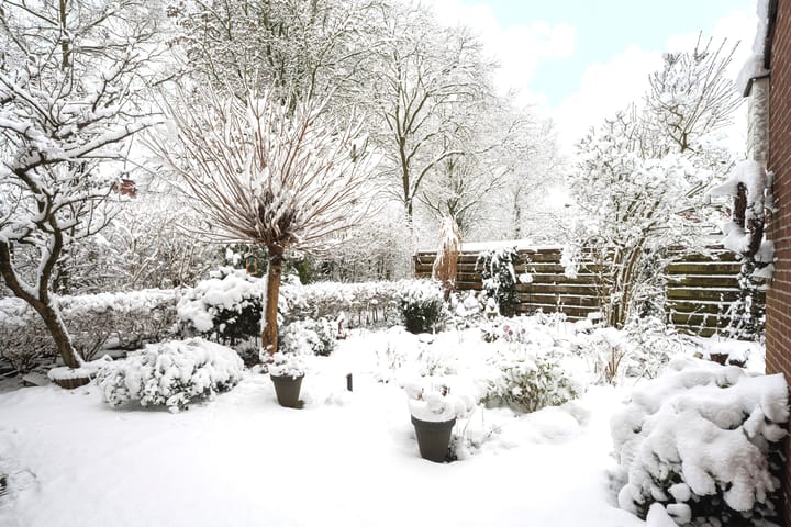 Foto 32 van Meester Koolenweg 19