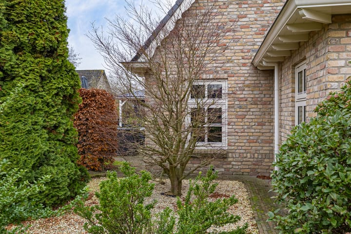 Foto 7 van Dwarsreed 2