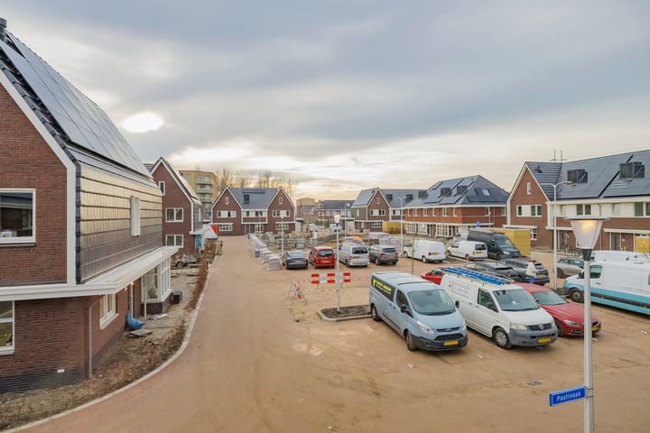 Photo 43 of Pastinaak 119