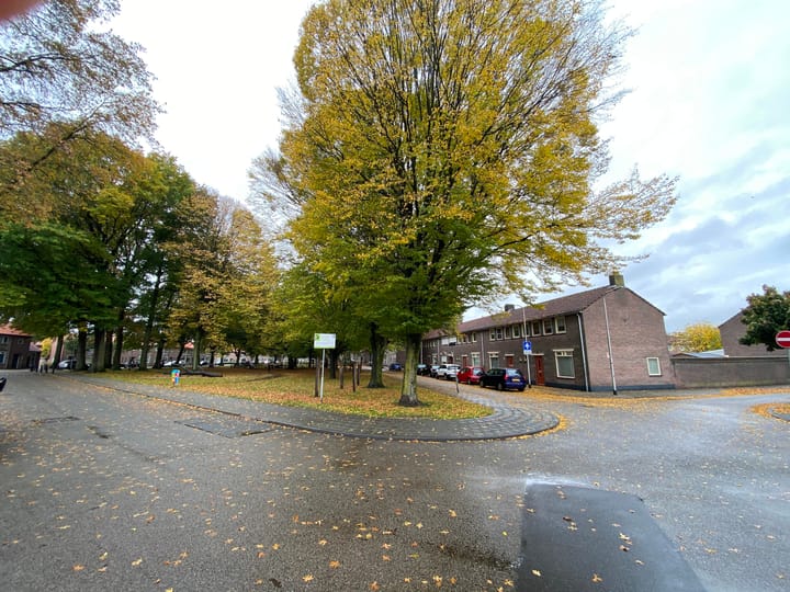 Foto 2 van Rooseveltplein 82