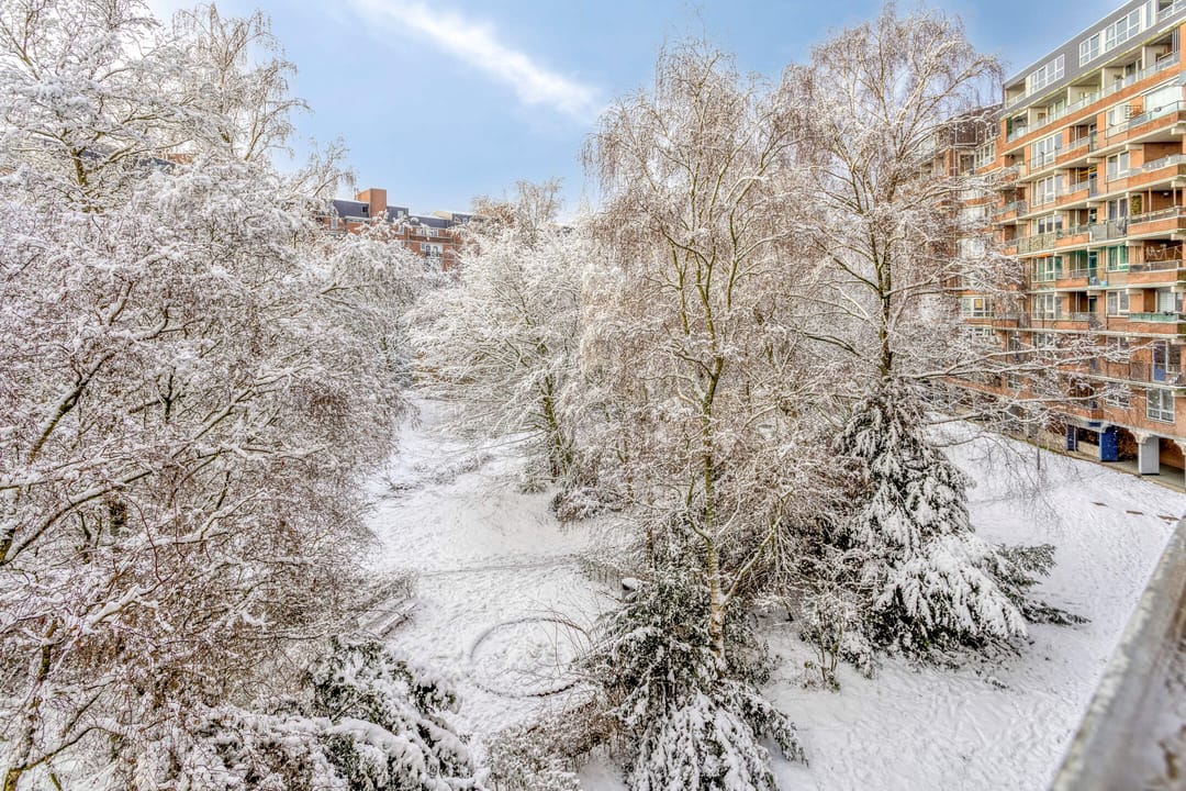 Photo 11 of Leksmondhof 89