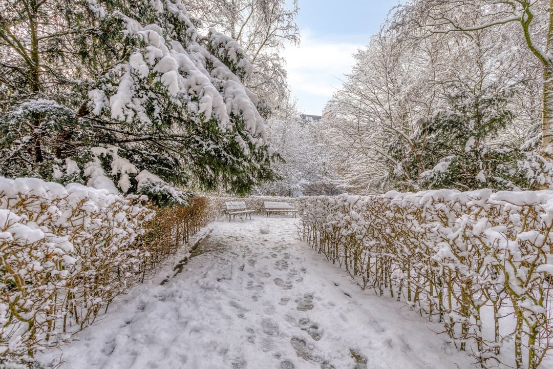 Photo 22 of Leksmondhof 89