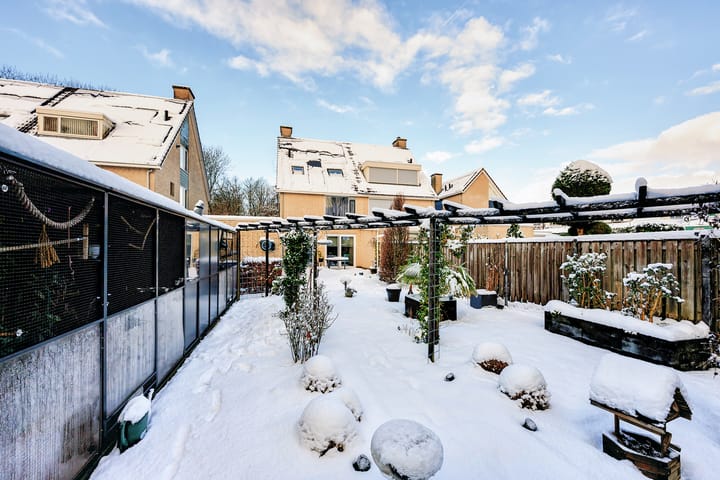 Foto 30 van Tolsteeg 6