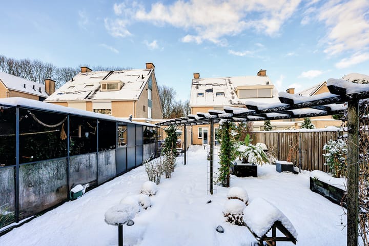 Foto 31 van Tolsteeg 6