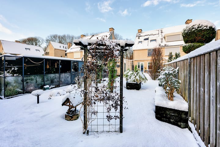 Foto 32 van Tolsteeg 6