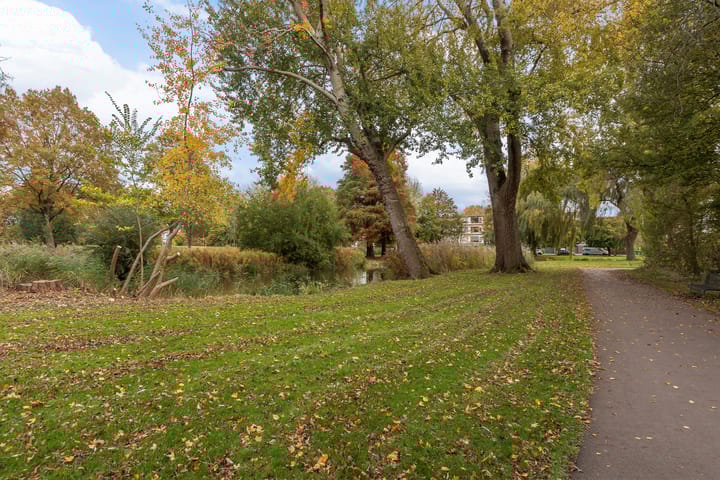 Foto 18 van Boksdoornpark 35