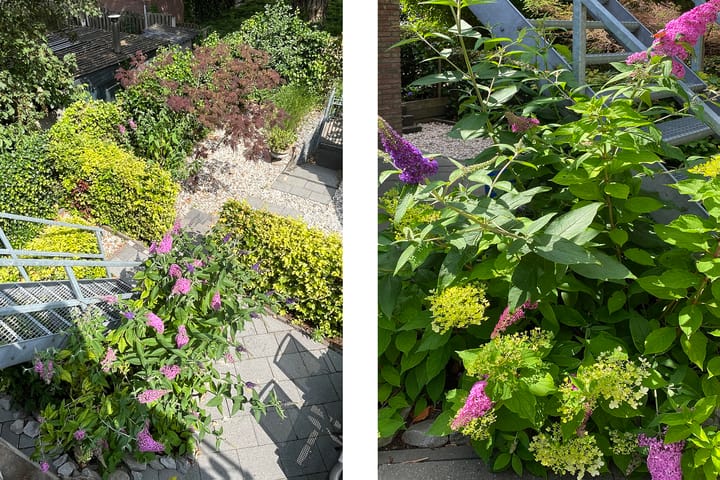 Foto 60 van Kerkbuurt 239