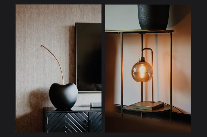 Foto 10 van Burgemeester R Tjalmastraat 7