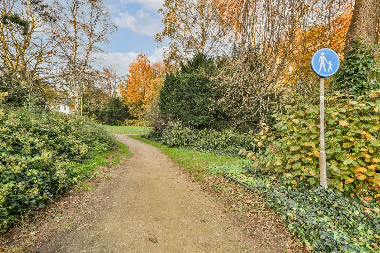 Photo 35 of Raadhuisplein 24