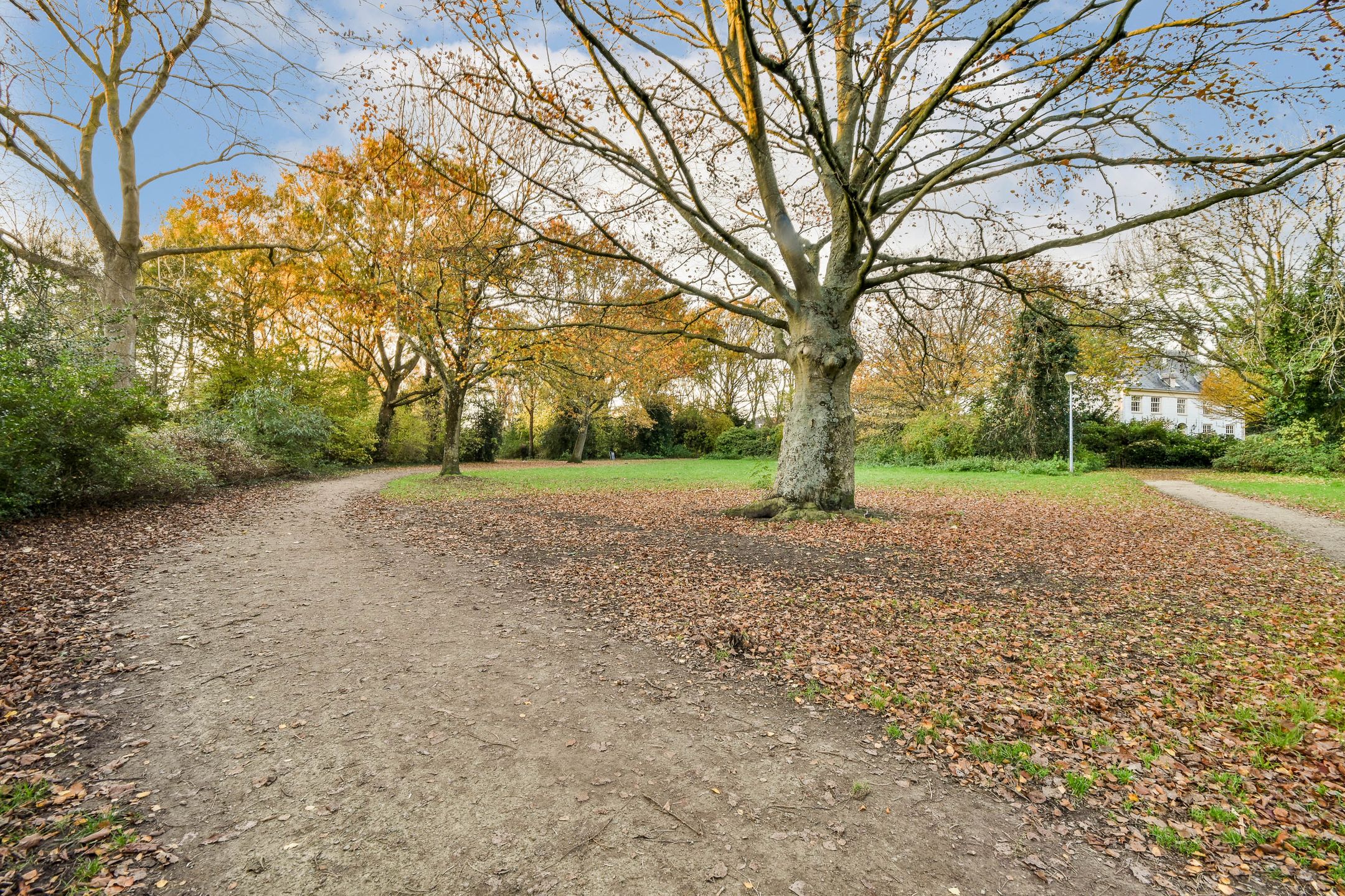 Photo 36 of Raadhuisplein 24