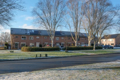 undefined main image