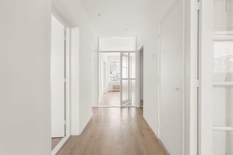 Pruimenlaan thumbnail