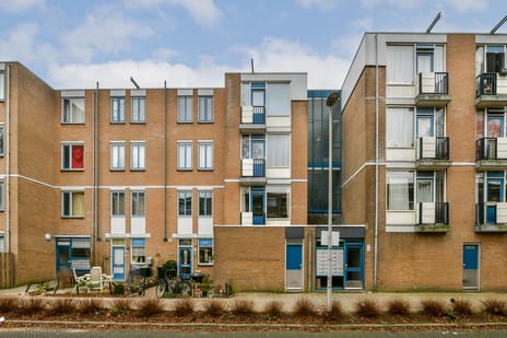 undefined main image