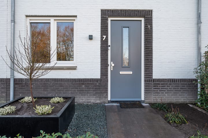 Foto 7 van Spieker 7