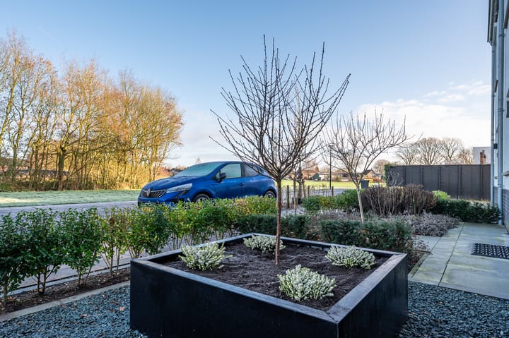 Foto 8 van Spieker 7