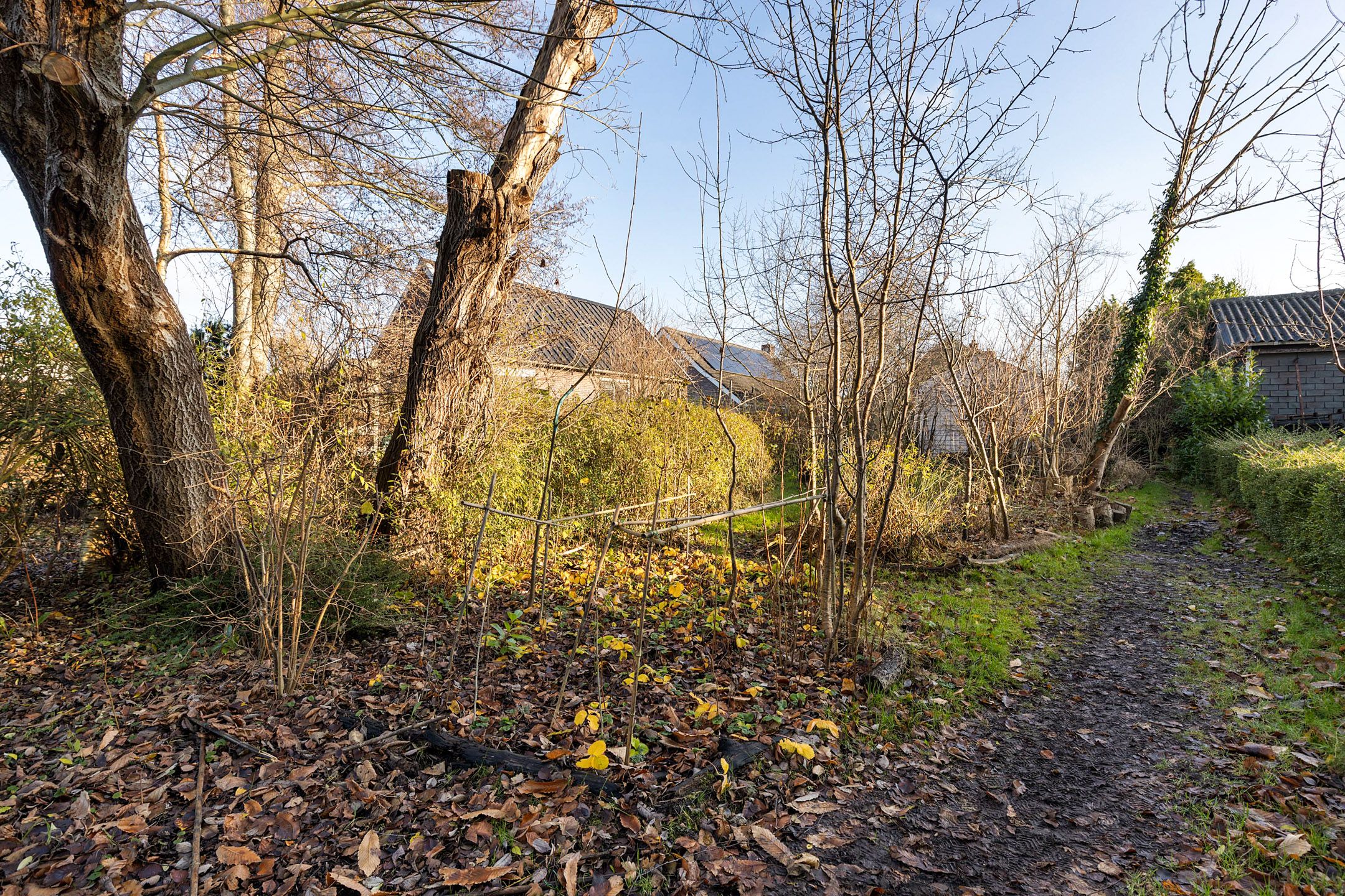 Photo 12 of Klinkerweg 126