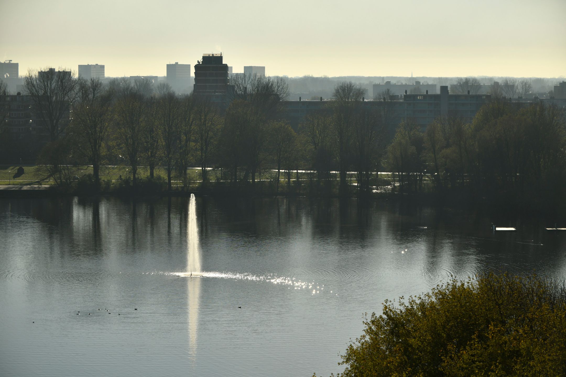 Photo 21 of Burgemeester Cramergracht 41