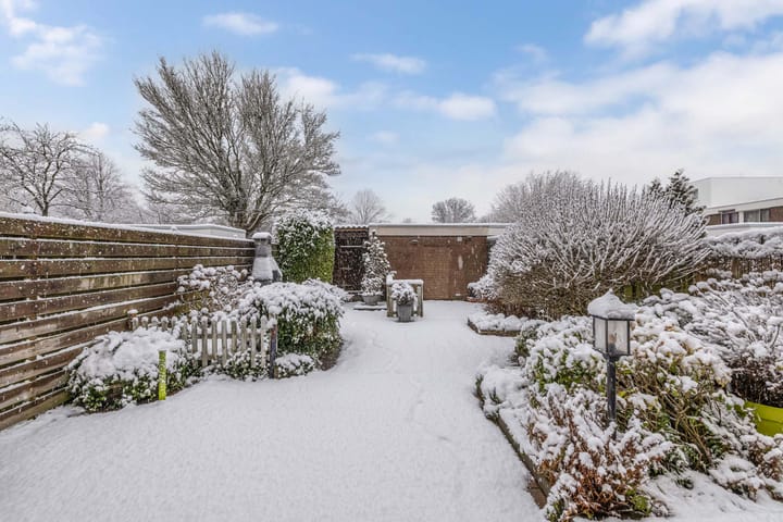 Foto 15 van Botter 23 6