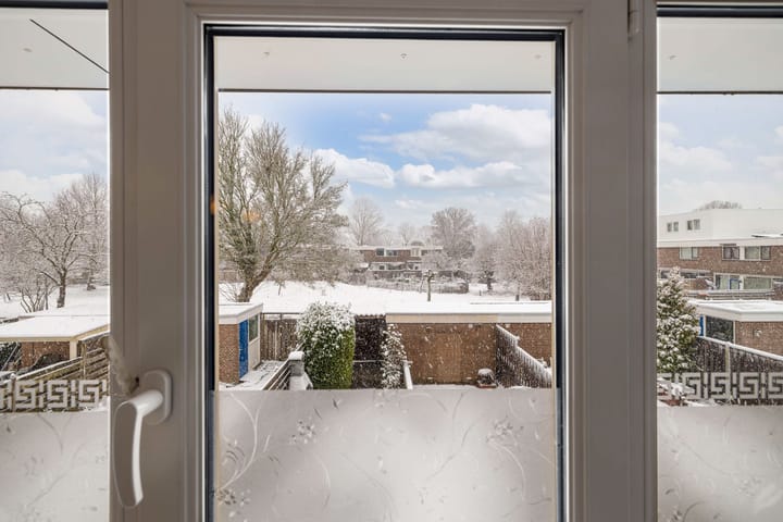 Foto 24 van Botter 23 6