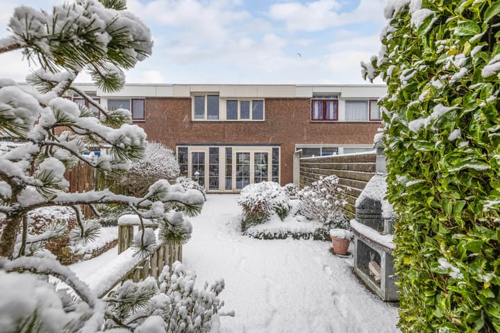 Photo 2 of Botter 23 6