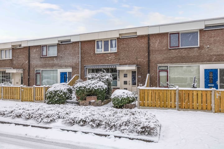 Foto 32 van Botter 23 6