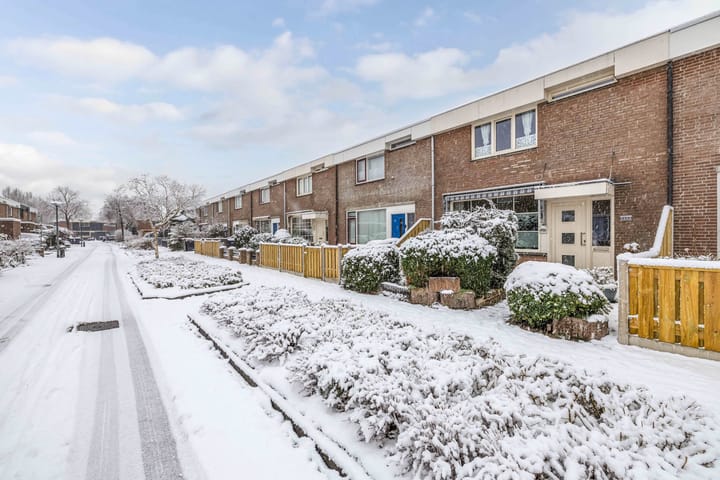 Foto 33 van Botter 23 6