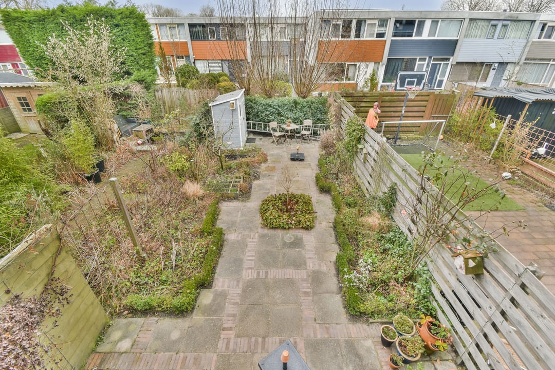 Foto 17 van Rode Klaver 38