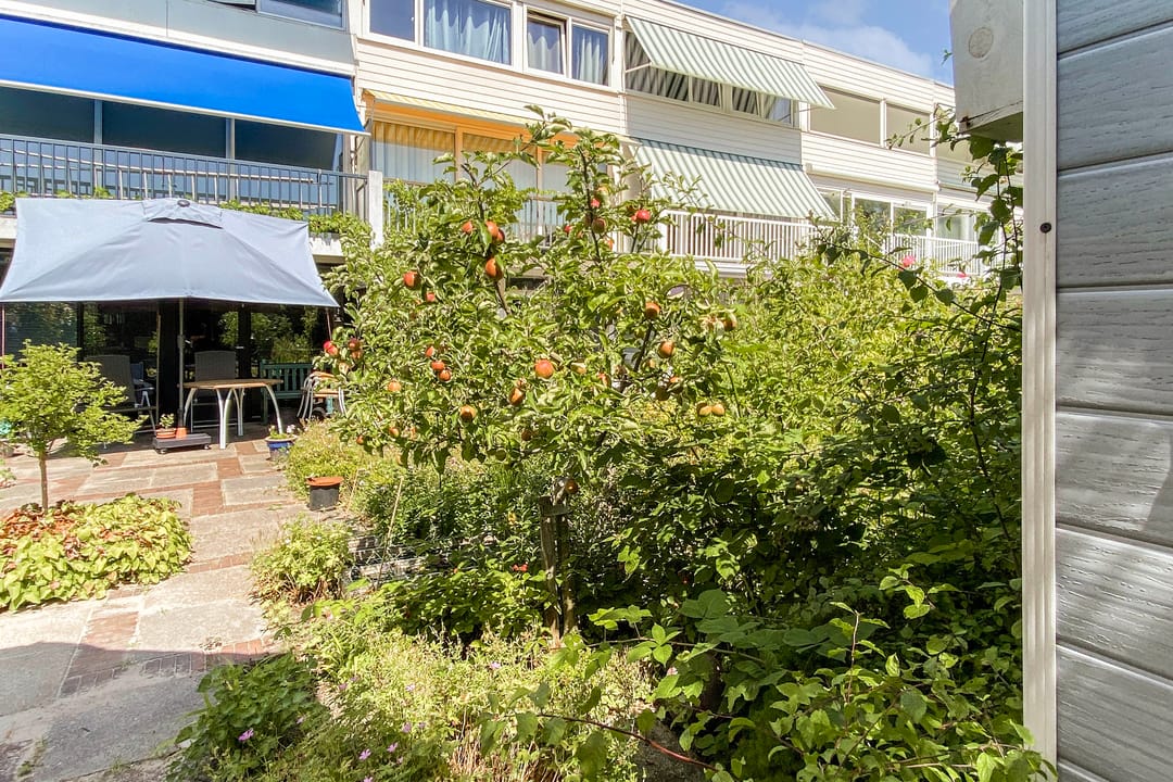 Foto 16 van Rode Klaver 38