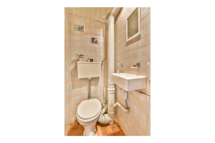 Foto 6 van Rode Klaver 38