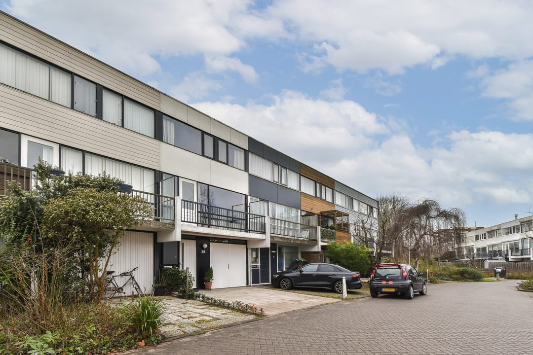 Foto 2 van Rode Klaver 38