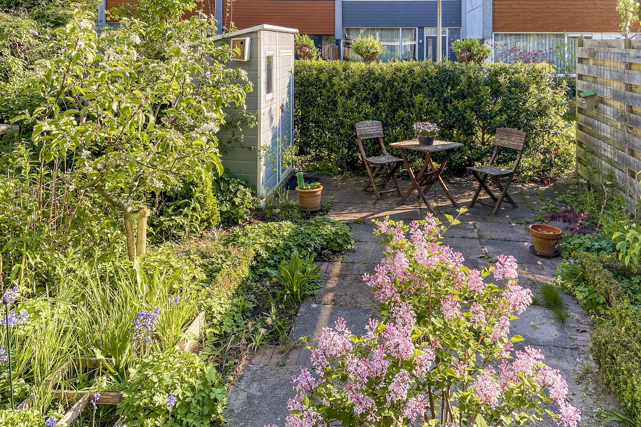 Foto 9 van Rode Klaver 38