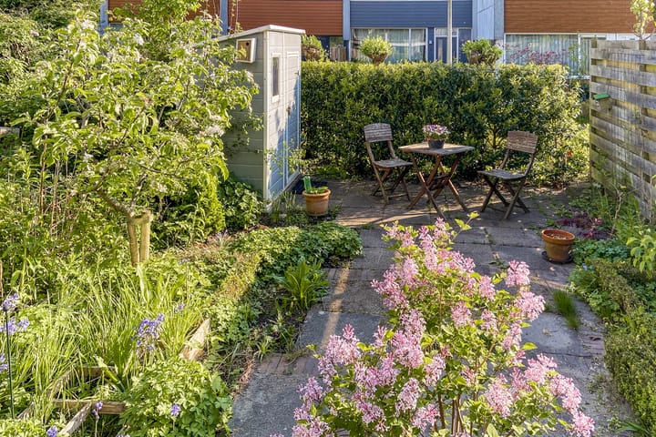 Foto 9 van Rode Klaver 38