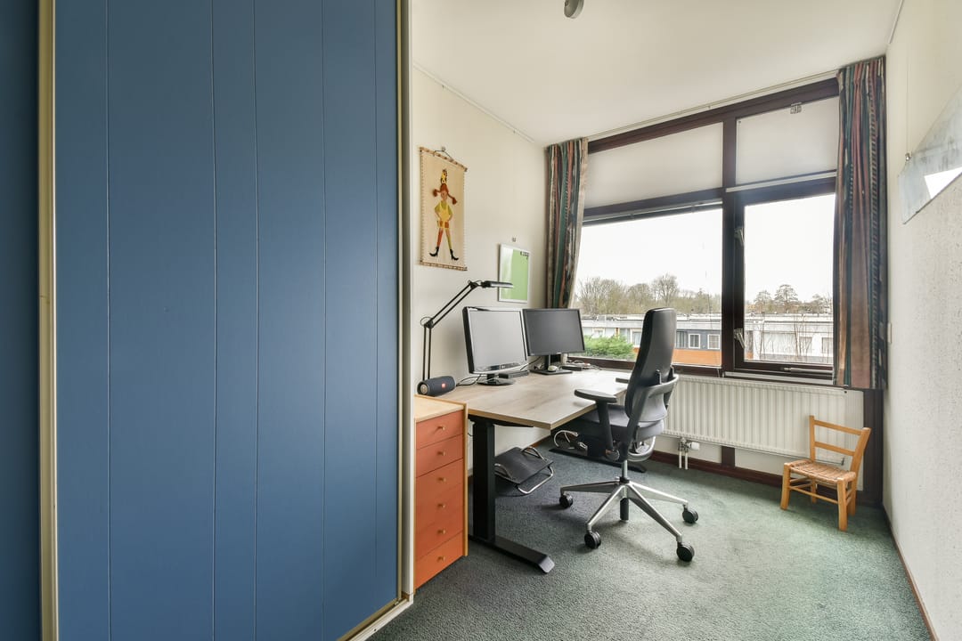 Foto 31 van Rode Klaver 38