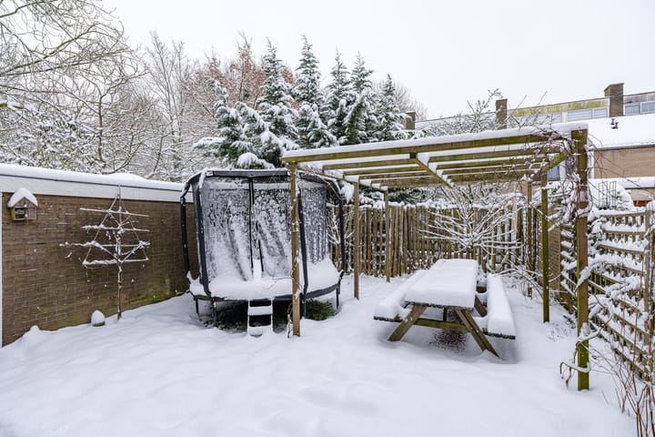 Foto 12 van Maniladreef 6