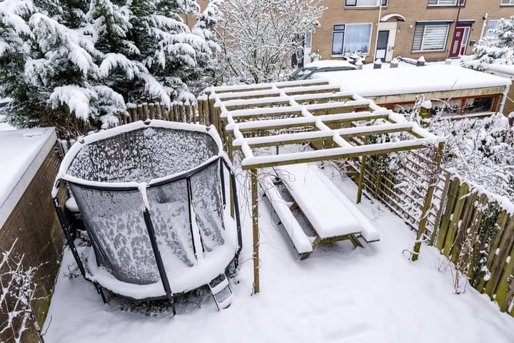 Foto 24 van Maniladreef 6