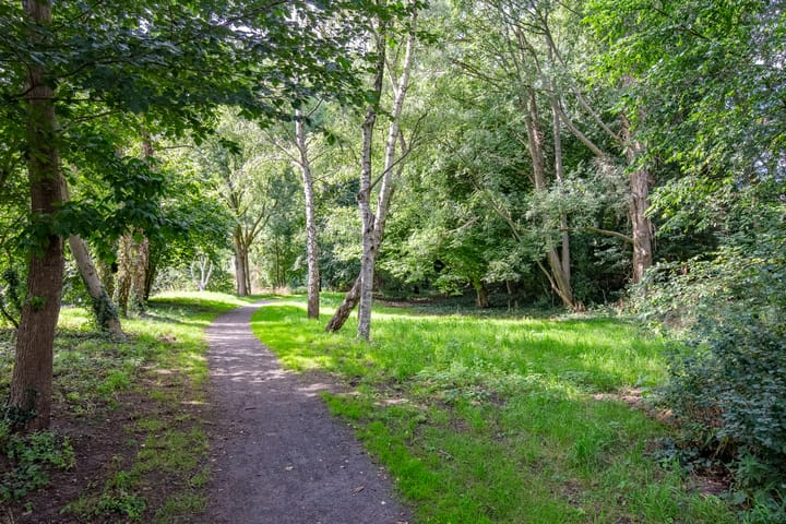 Foto 40 van Maniladreef 6