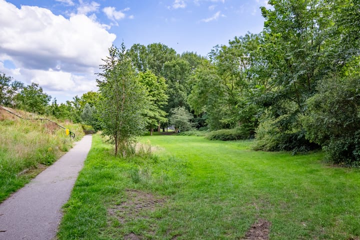 Foto 41 van Maniladreef 6